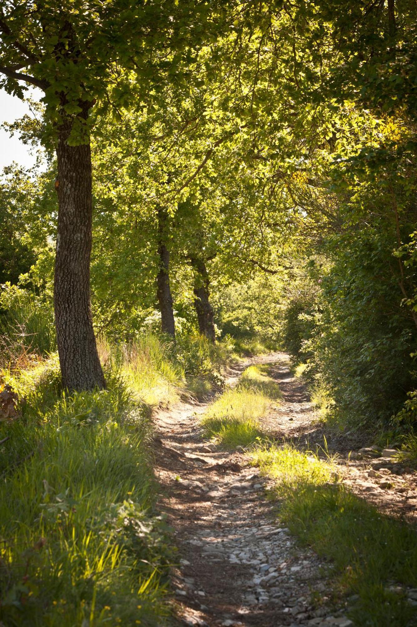 Relais Parco Del Subasio Βίλα Piano Delle Pieve Εξωτερικό φωτογραφία