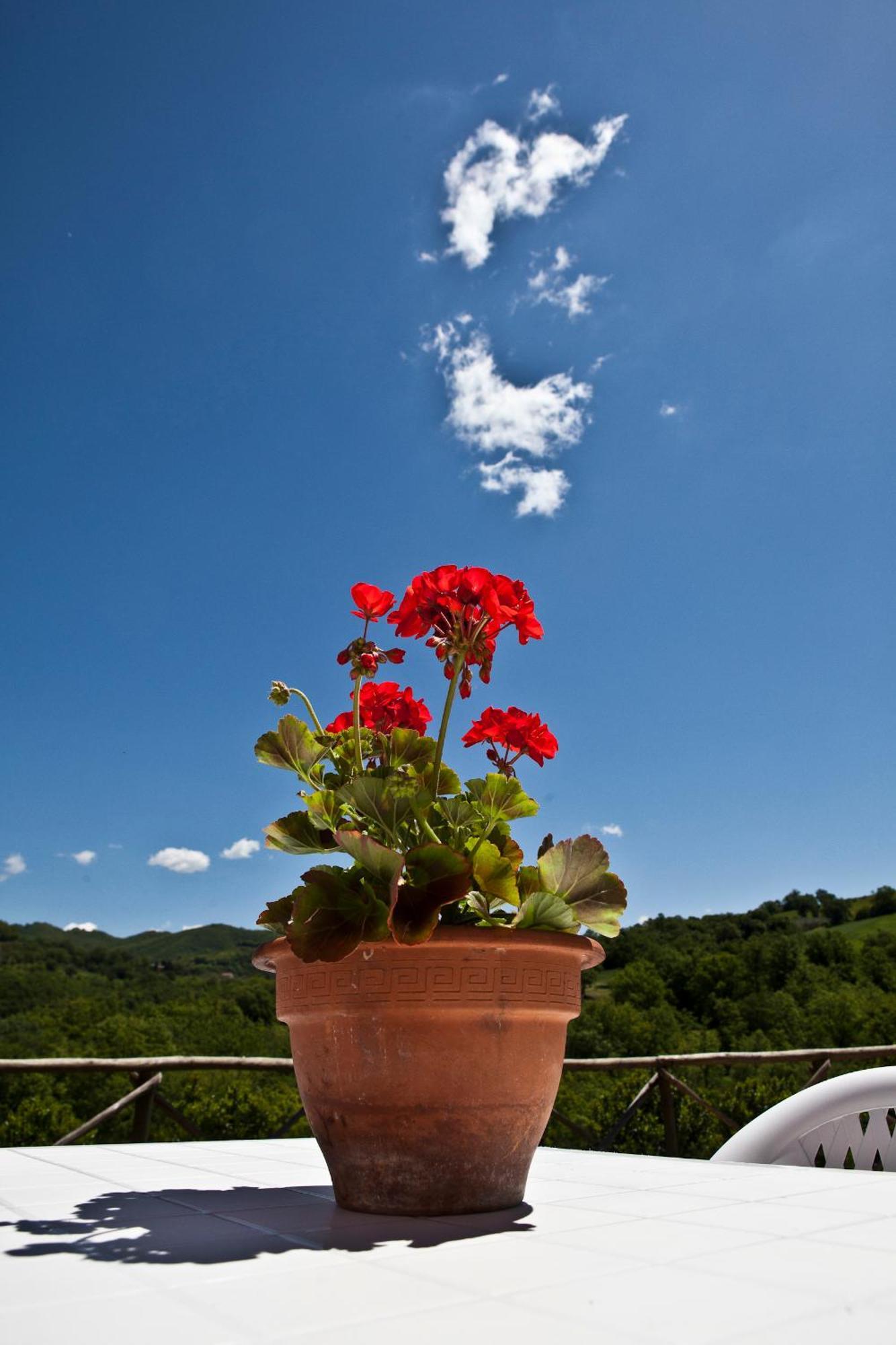 Relais Parco Del Subasio Βίλα Piano Delle Pieve Εξωτερικό φωτογραφία