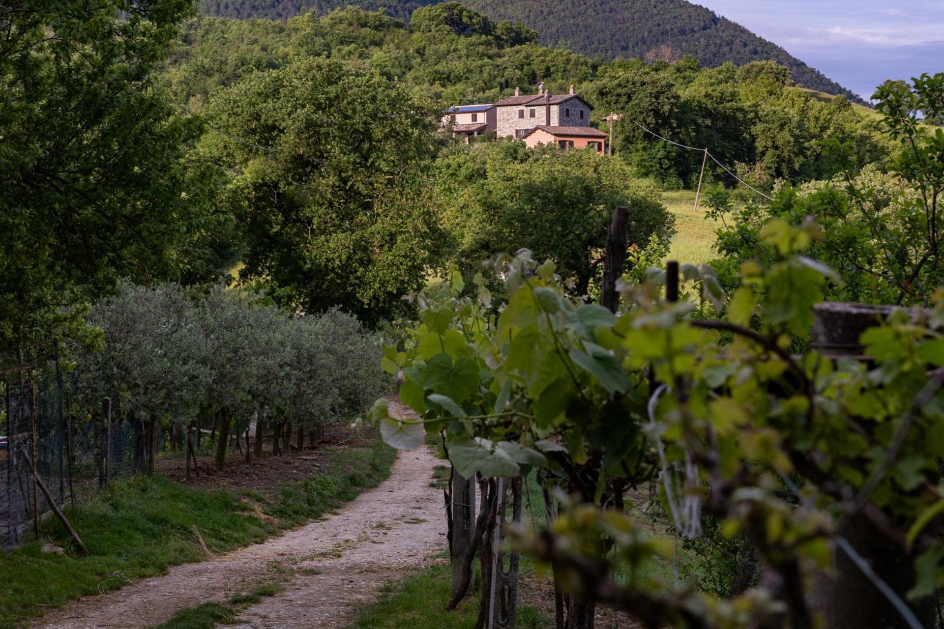 Relais Parco Del Subasio Βίλα Piano Delle Pieve Εξωτερικό φωτογραφία